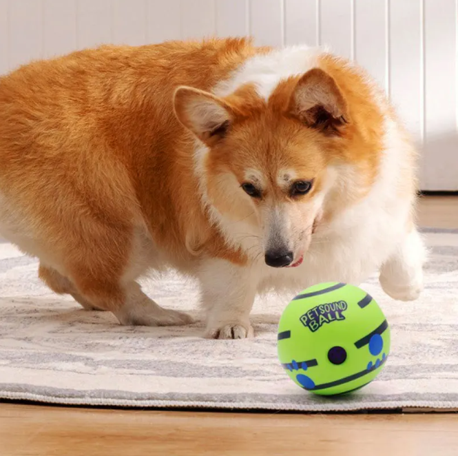 A dog playing with a green Pet Sound Toy Ball on a striped rug